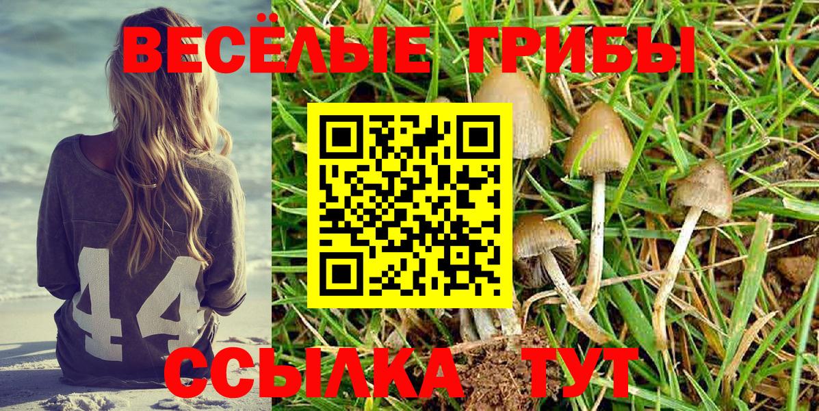 Наро-Фоминск  Галлюциногенные грибы прущие грибы  Галлюциногенные грибы мицелий  Вход с VPN 